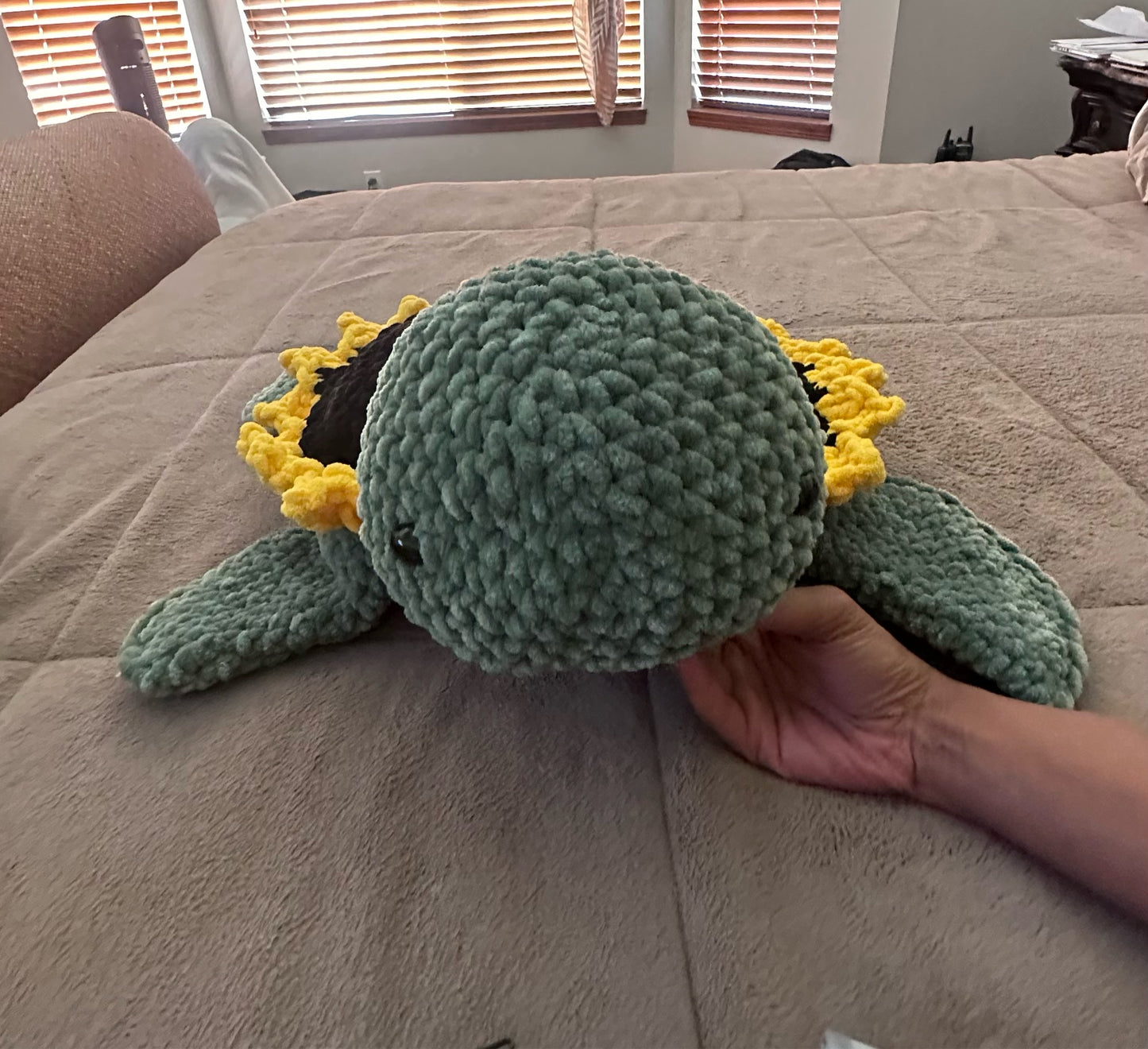 Pre-Order Jumbo Sunflower turtle