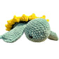 Pre-Order Small Baby Turtle